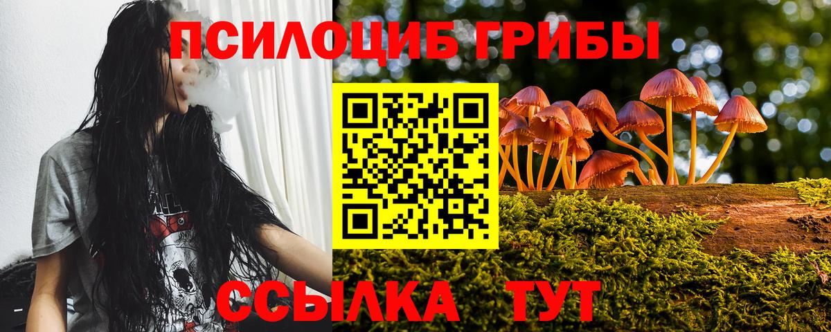 Галлюциногенные грибы Cubensis  Галлюциногенные грибы мицелий  Вход с VPN  Моздок 