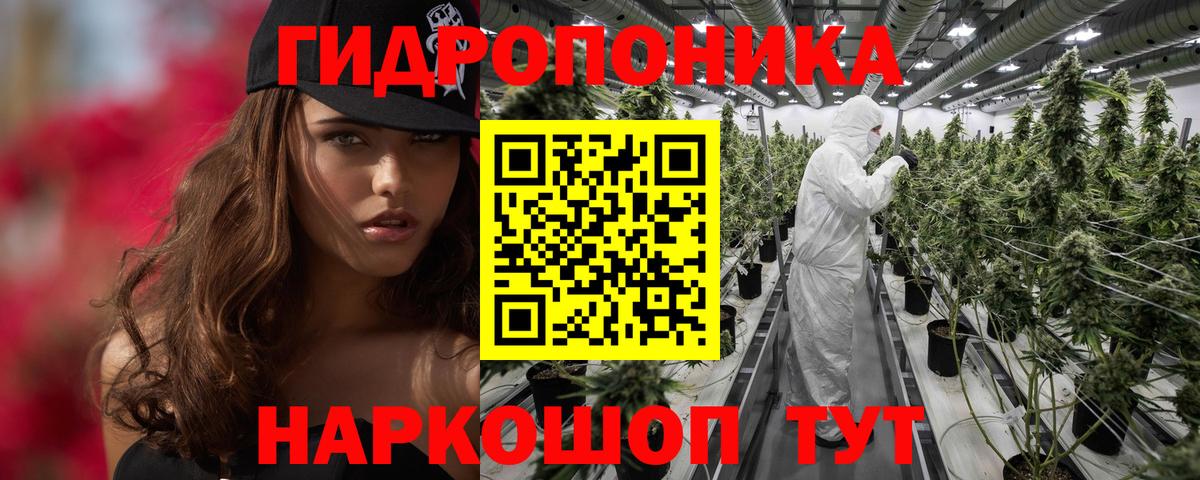 Конопля LSD WEED  Бошки марихуана Amnesia  Моздок  Марихуана конопля  Вход с VPN 